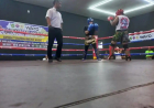 KICKBOXING MEDAN CUP OPEN TOURNAMENT 2026 MELAHIRKAN PERSAINGAN MENUJU PORPROV DIPREDIKSI SEMAKIN KETAT