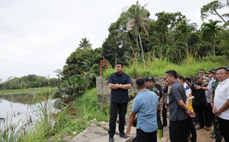 Pemprov Sumut Lanjutkan Penertiban Tambang Ilegal di Sungai Batang Gadis