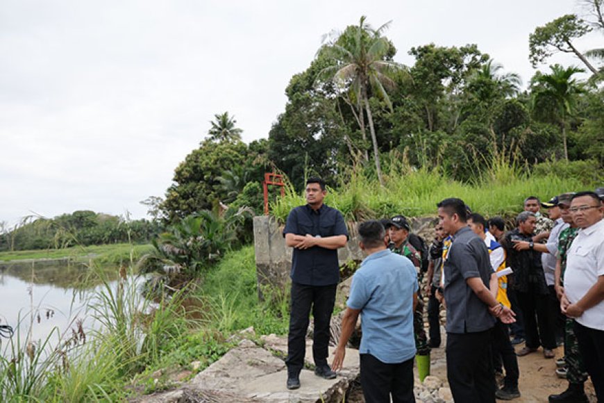 Pemprov Sumut Lanjutkan Penertiban Tambang Ilegal di Sungai Batang Gadis